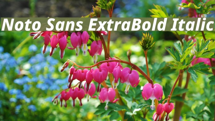 Noto Sans ExtraBold Italic Example 3