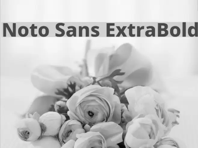 Noto Sans ExtraBold Font examples