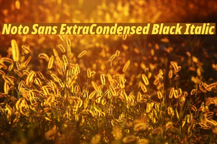 Noto Sans ExtraCondensed Black Italic Font examples