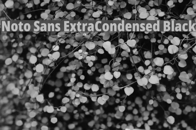 Noto Sans ExtraCondensed Black Font examples