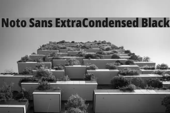 Noto Sans ExtraCondensed Black Font examples