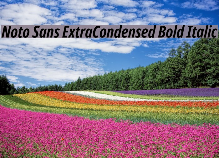 Noto Sans ExtraCondensed Bold Italic Font examples