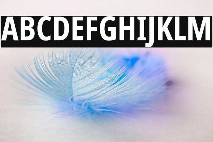 Noto Sans ExtraCondensed Bold Example 1