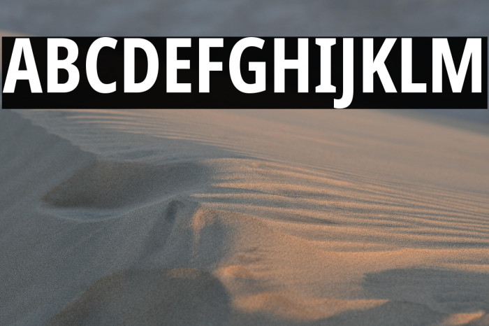 Noto Sans ExtraCondensed Bold Example 2