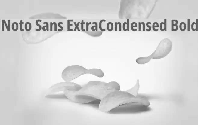 Noto Sans ExtraCondensed Bold Font examples