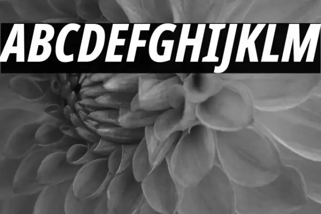 Noto Sans ExtraCondensed ExtraBold Italic Font examples