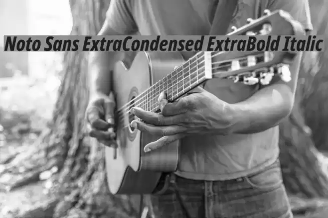 Noto Sans ExtraCondensed ExtraBold Italic Font examples