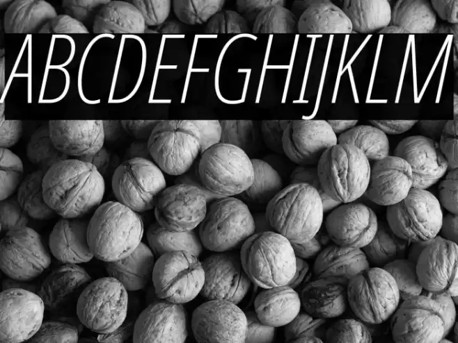 Noto Sans ExtraCondensed ExtraLight Italic Font examples