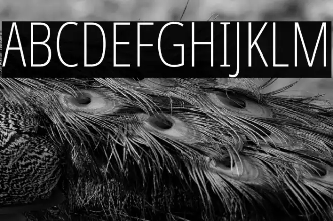 Noto Sans ExtraCondensed ExtraLight Example 1