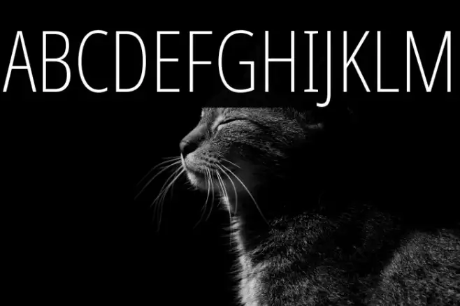 Noto Sans ExtraCondensed ExtraLight Example 3