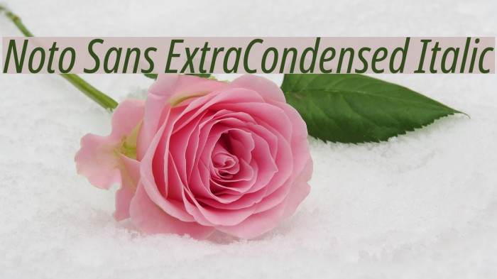 Noto Sans ExtraCondensed Italic Font examples