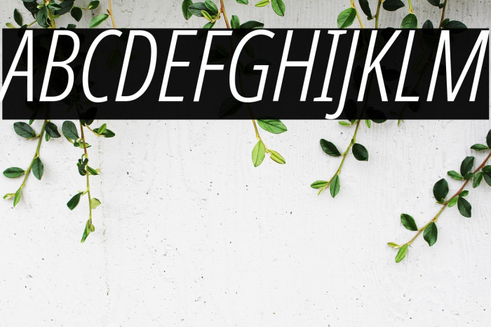 Noto Sans ExtraCondensed Light Italic Example 3