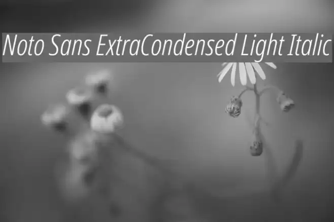 Noto Sans ExtraCondensed Light Italic Font examples