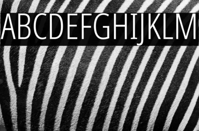 Noto Sans ExtraCondensed Light Example 2