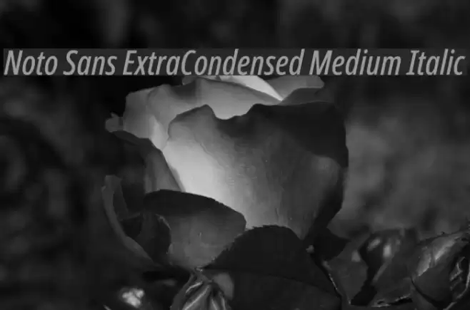 Noto Sans ExtraCondensed Medium Italic Font examples