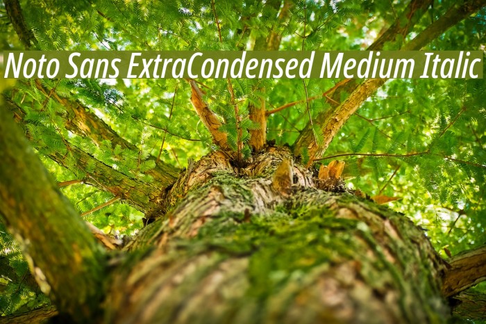 Noto Sans ExtraCondensed Medium Italic Example 3