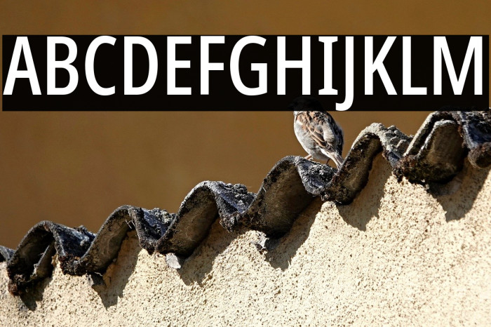 Noto Sans ExtraCondensed Medium Example 1