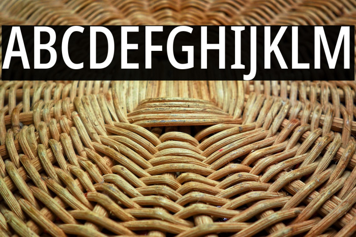 Noto Sans ExtraCondensed Medium Example 2