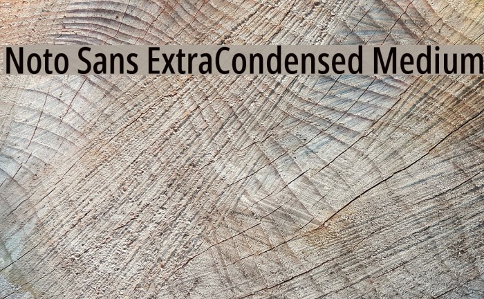 Noto Sans ExtraCondensed Medium Font examples