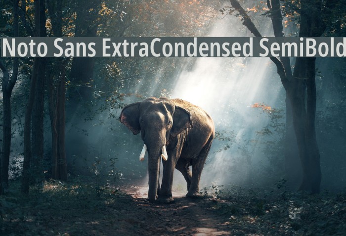Noto Sans ExtraCondensed SemiBold Font examples