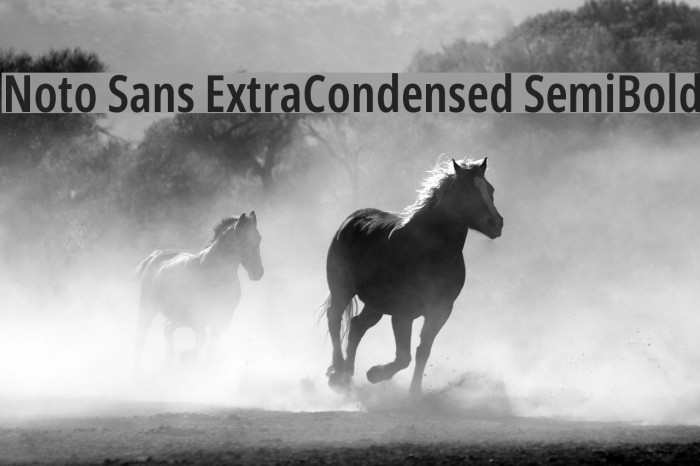 Noto Sans ExtraCondensed SemiBold Font examples