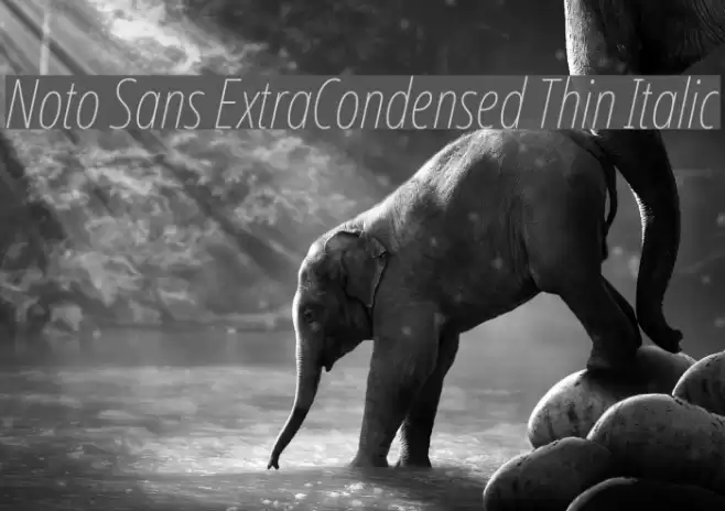 Noto Sans ExtraCondensed Thin Italic Font examples