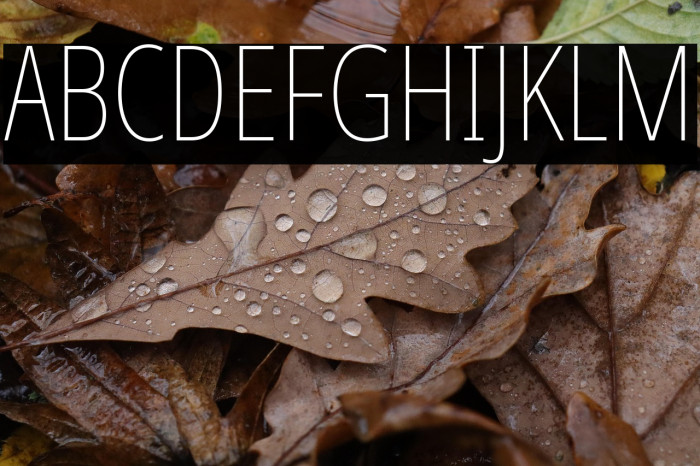 Noto Sans ExtraCondensed Thin Example 2