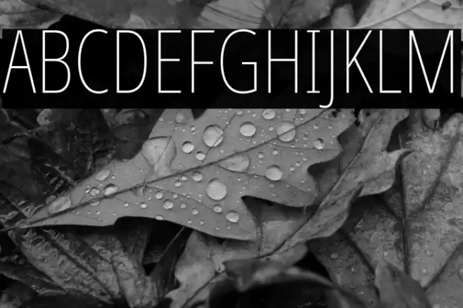 Noto Sans ExtraCondensed Thin Font examples