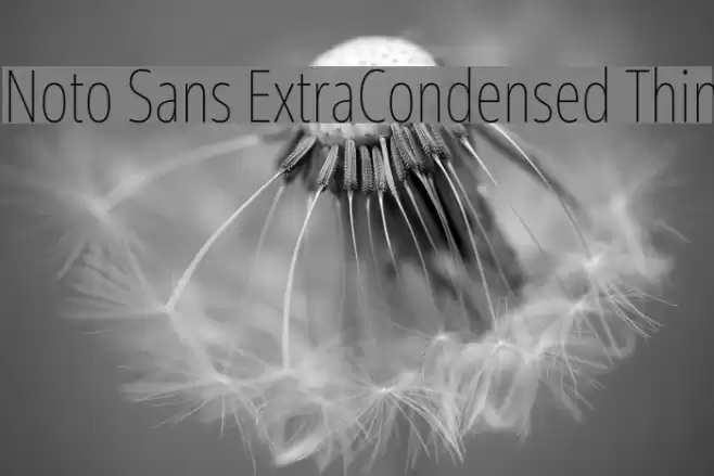 Noto Sans ExtraCondensed Thin Font examples