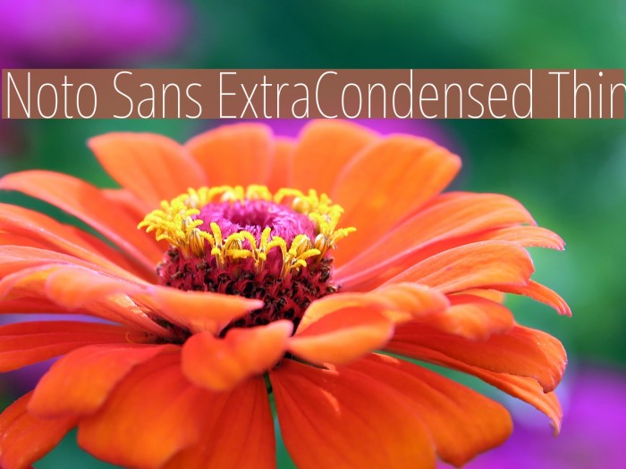 Noto Sans ExtraCondensed Thin Font examples