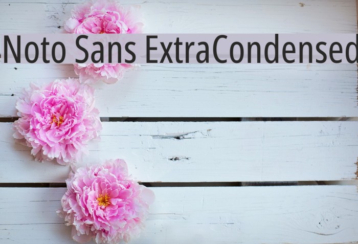 Noto Sans ExtraCondensed Font examples