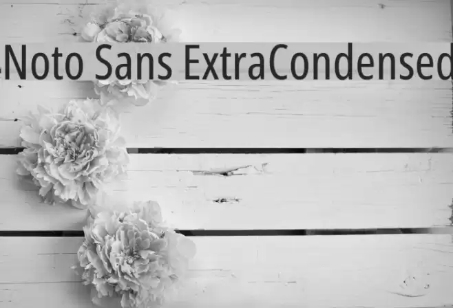 Noto Sans ExtraCondensed Font examples