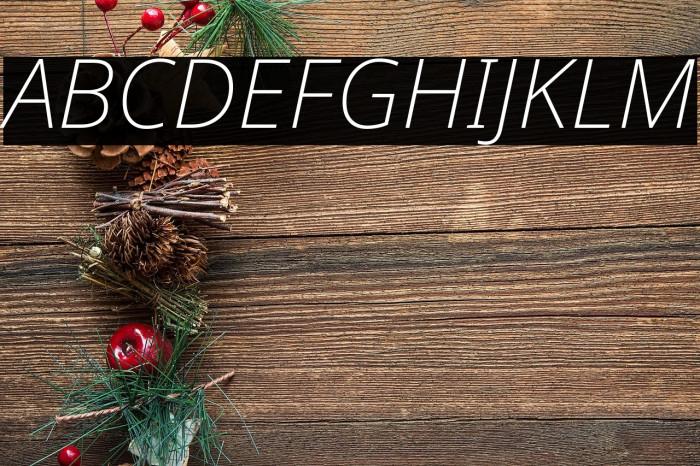 Noto Sans ExtraLight Italic Example 1