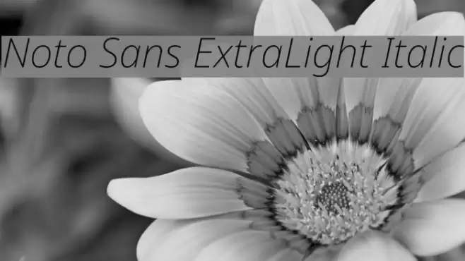 Noto Sans ExtraLight Italic Font examples