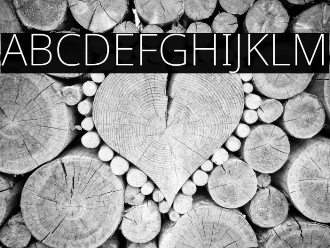 Noto Sans ExtraLight Font examples