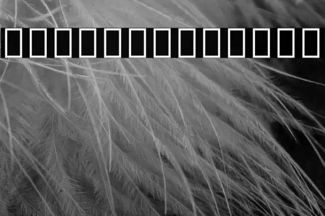 Noto Sans Georgian Condensed Font examples