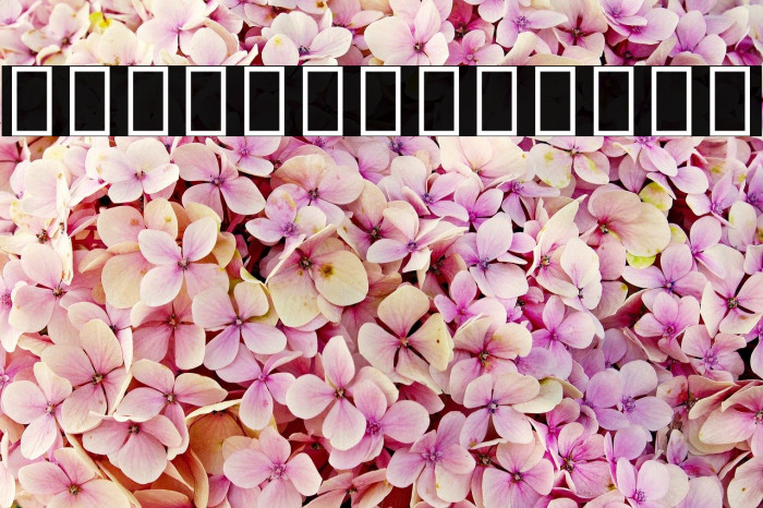 Noto Sans Georgian ExtraCondensed Thin Example 3