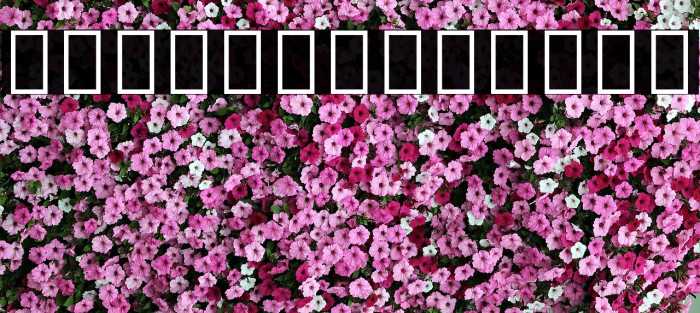 Noto Sans Georgian SemiBold Example 1