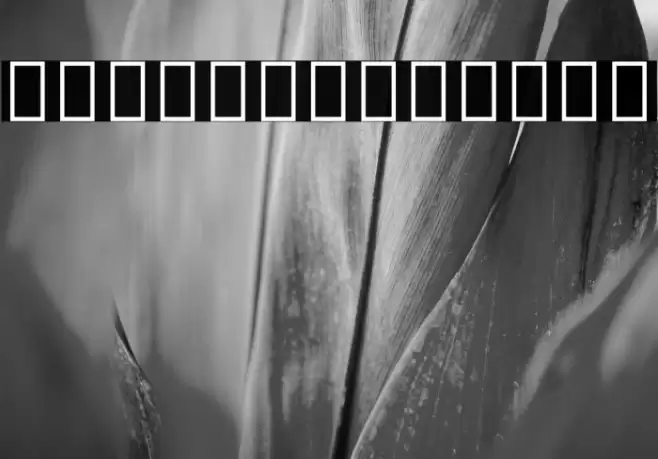 Noto Sans Georgian SemiCondensed ExtraLight Font examples