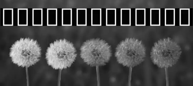 Noto Sans Gothic Regular Font examples