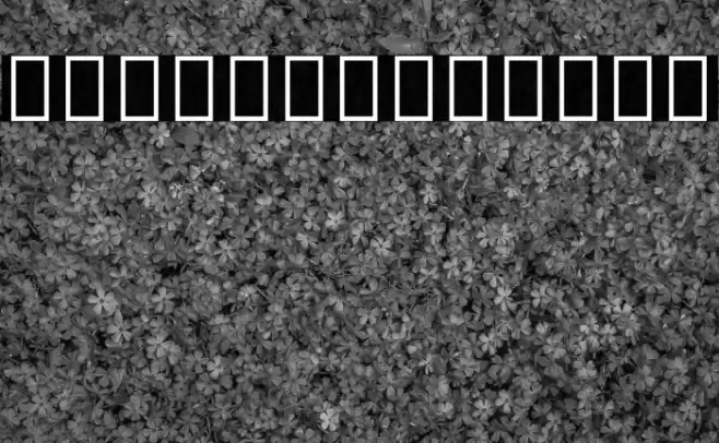 Noto Sans Gurmukhi Bold Font examples