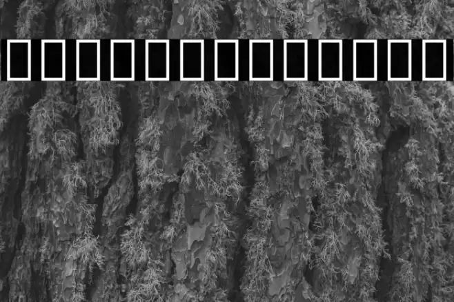 Noto Sans Hebrew Bold Font examples