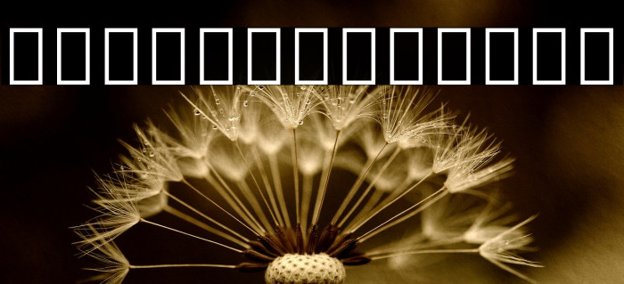 Noto Sans Hebrew Condensed Medium Example 3