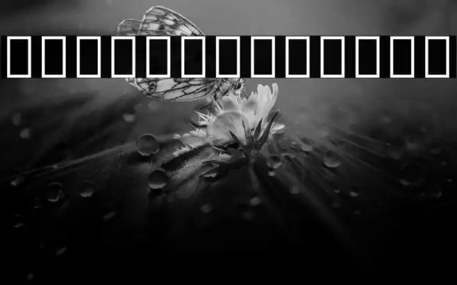 Noto Sans Hebrew ExtraCondensed Light Example 3