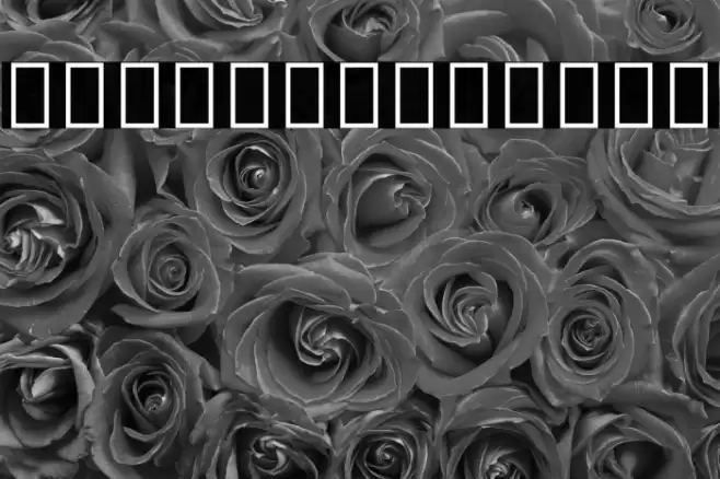 Noto Sans Hebrew SemiCondensed Black Font examples