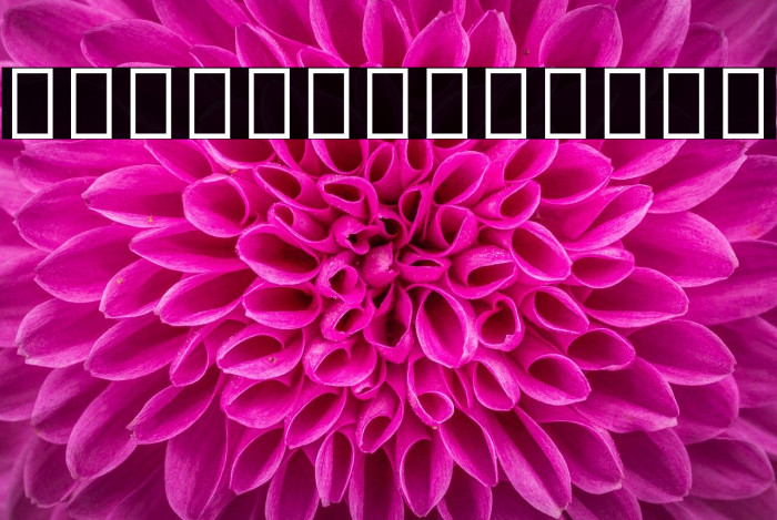 Noto Sans Hebrew SemiCondensed SemiBold Example 2