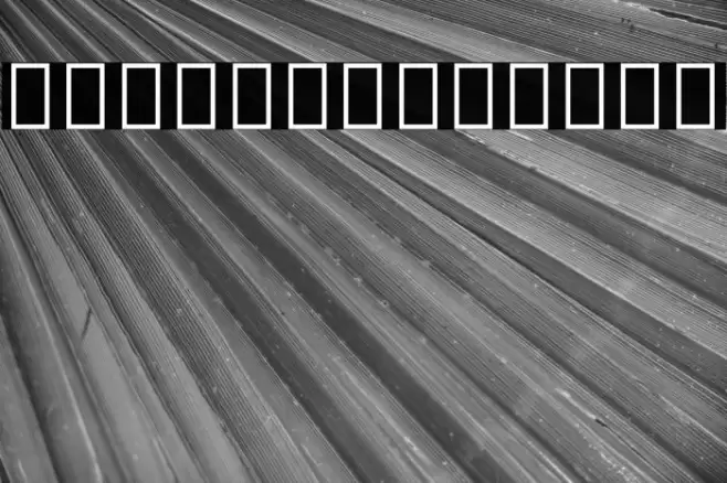 Noto Sans Hebrew SemiCondensed SemiBold Font examples