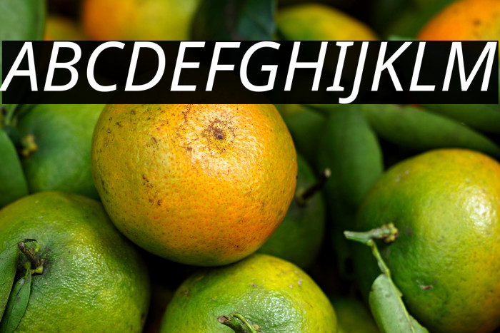 Noto Sans Italic Example 1