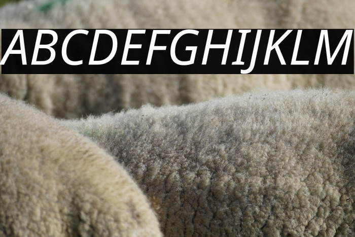 Noto Sans Italic Example 2