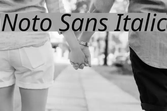 Noto Sans Italic Font examples